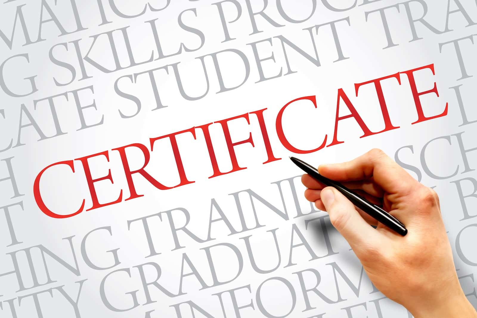 Skills Certificate
